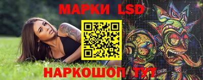 кокс Гатчина