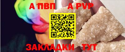кокс Гатчина