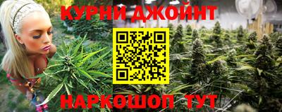кокс Гатчина