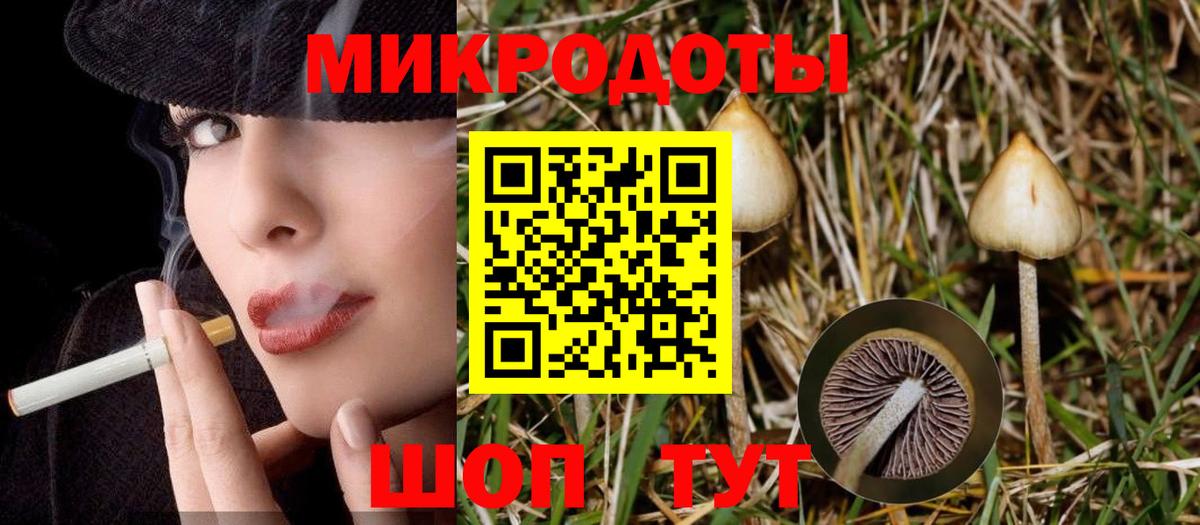 Галлюциногенные грибы мухоморы Ростов Великий