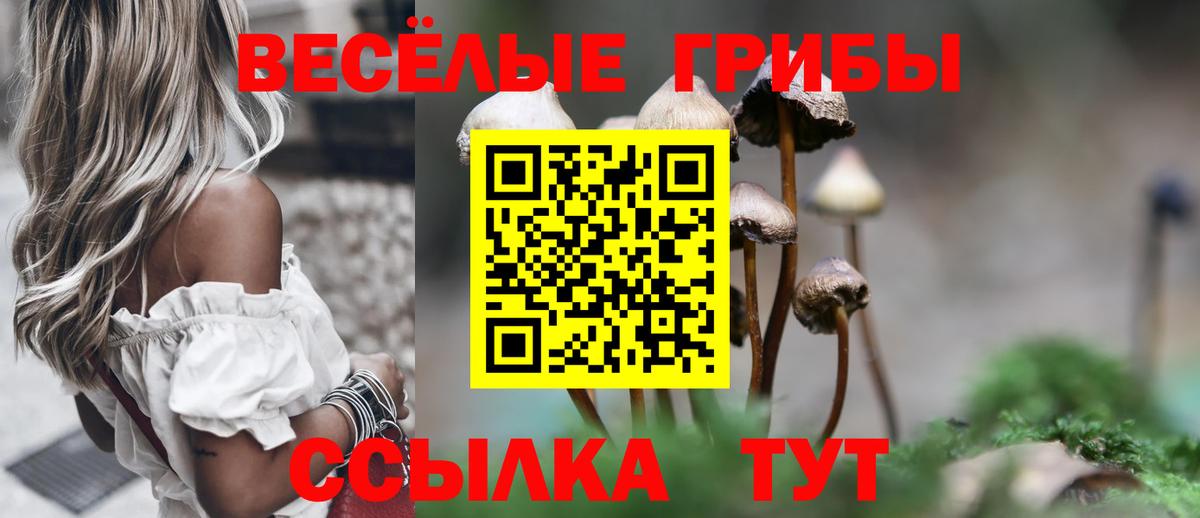 Галлюциногенные грибы Psilocybine cubensis  Вход с VPN  Галлюциногенные грибы мухоморы  Ростов Великий 
