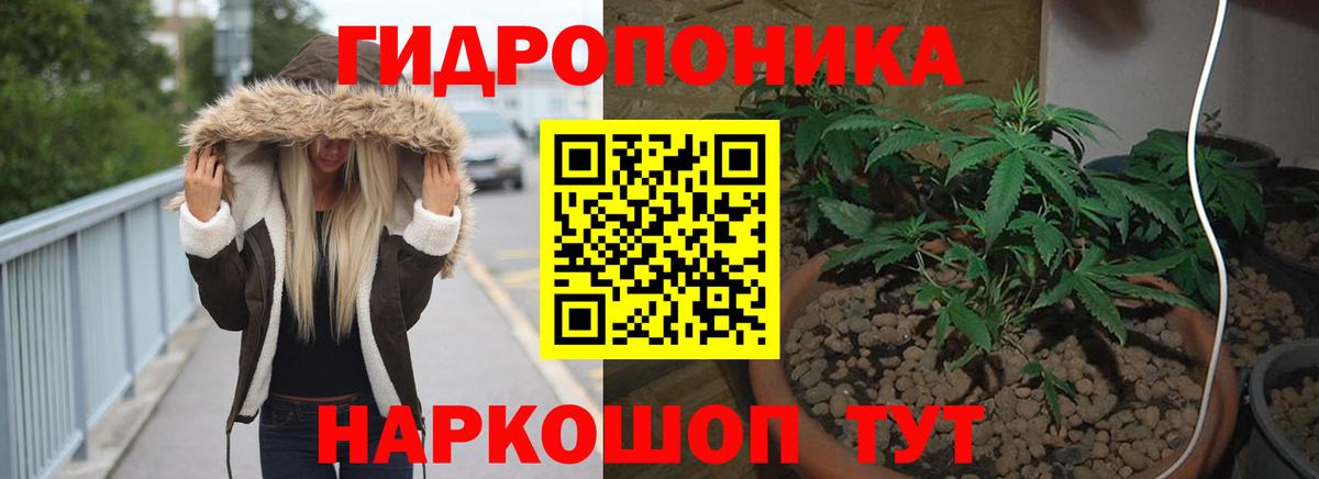 Ростов Великий  Конопля VHQ  Вход с VPN  МАРИХУАНА планчик 